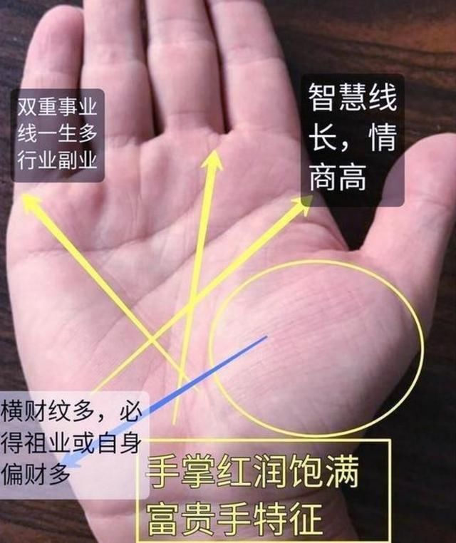 横财纹多一定是个做生意或者挣偏财的人,智慧线长而且不杂乱,情商非常