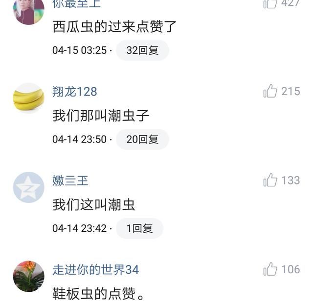 你老家管这个虫子叫什么？