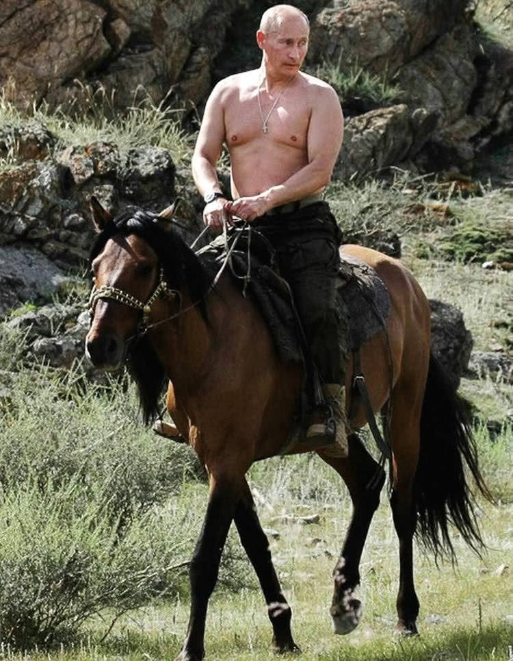 样样精通的老司机,普京堪称载具全能手