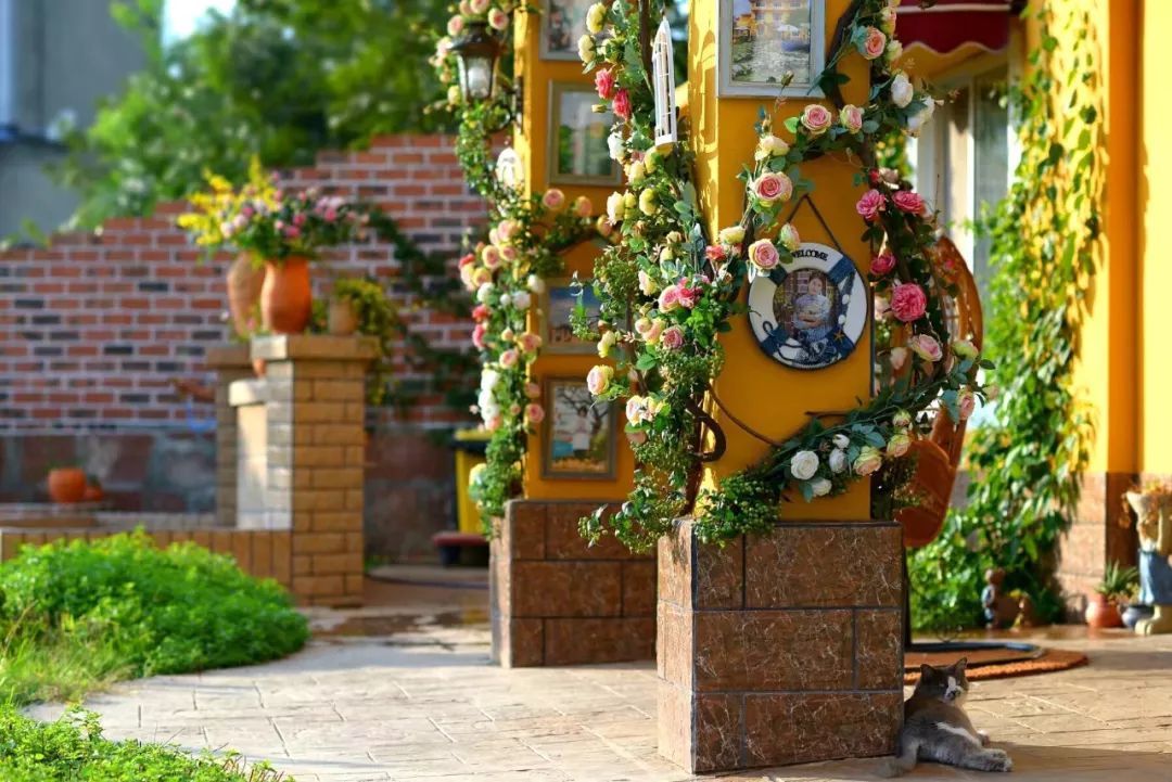 一对夫妻把青白江农家改造成“田园牧歌”，从此家有美景何必远方