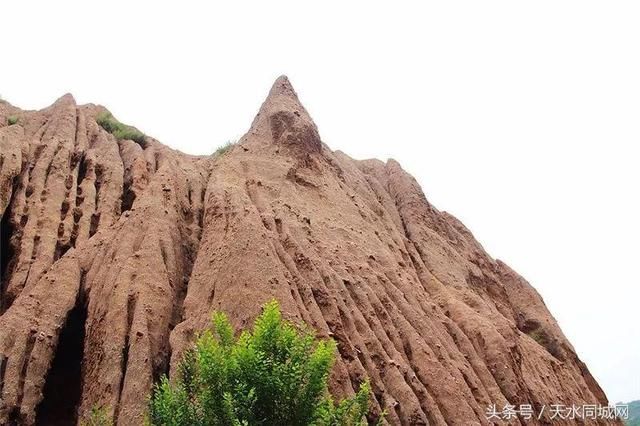 天水有一个地方，山清水秀、满山杏花，却很少有人知道