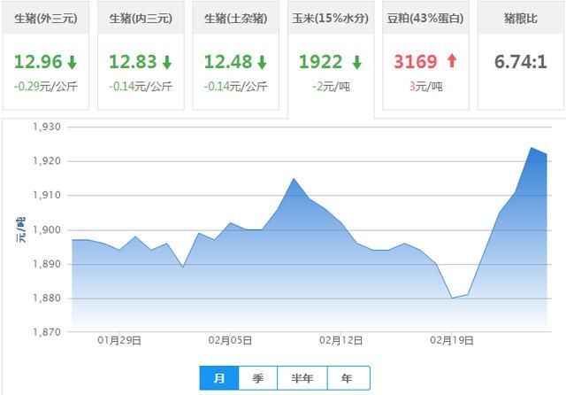 25日生猪价格行情；一个字形容“惨”和去年同期8.3比下跌2元！