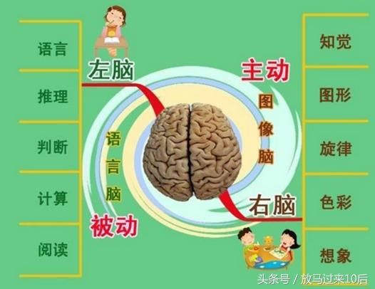 专家：儿童右脑发展靠家长，这几点你做到了么？