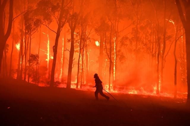 澳大利亚火灾受灾地区