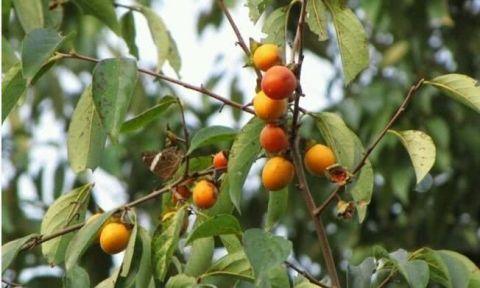 对缓解痔疮症状有帮助的小方法