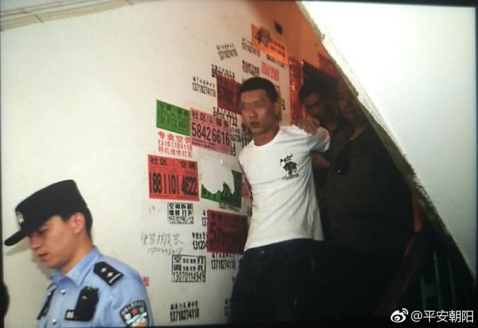 北京打人男子涉故意伤害罪被刑拘其父涉窝藏罪