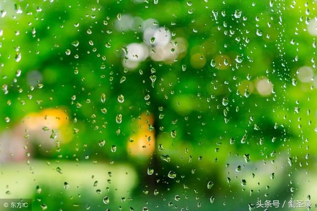 关于描写雨的诗句,细雨绵绵,风雨替花愁
