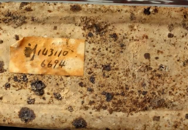 大图详解看故宫文物元釉里红扁壶,学收藏瓷器