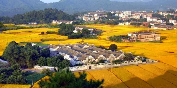 乡村会荐 | 避开人潮！踏青必去的古镇古村，诗意岭南近在咫尺！