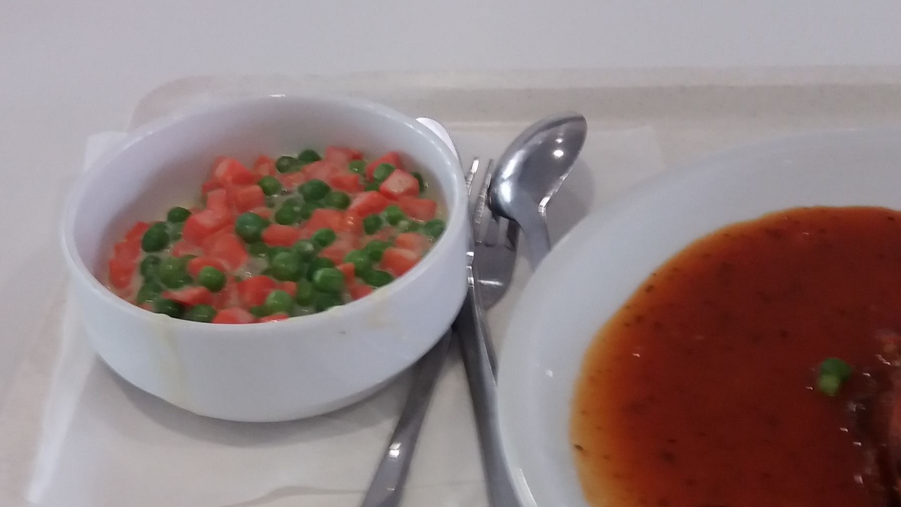康巴广场的食材都有哪些部德国v广场美食什美食图片