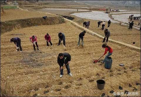 明年起，农民要面对2个难题，第1个家家逃不掉，农民早作准备