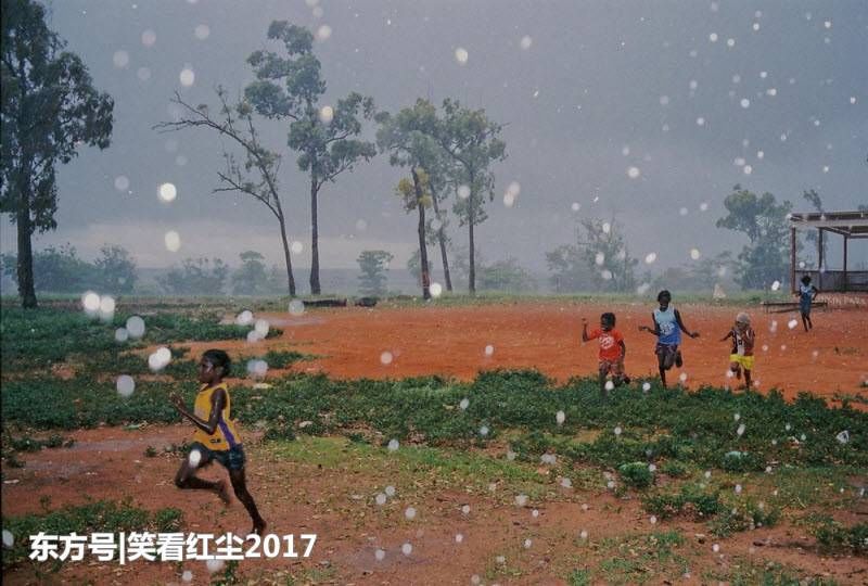 来自澳大利亚的有趣照片 来自澳洲的那些趣事，袋鼠乱穿马路，蛇