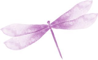 遇见冰城夏都丨兆麟公园与冰灯游园会