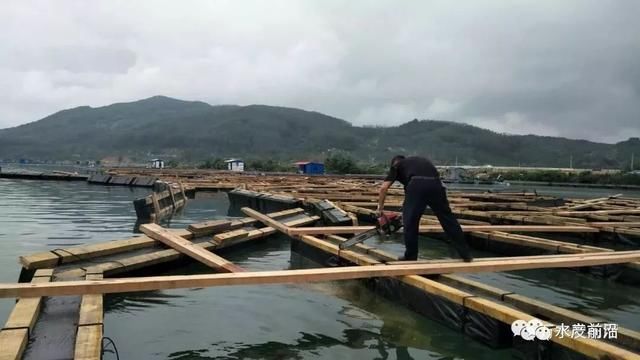 狼藉一片！海南继续拆！池塘苗场已大规模拆了，万宁又拆5百网箱