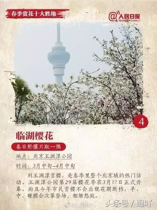 清明出游去哪儿？春季赏花十大胜地