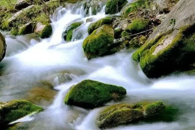 石成县人口_成县鸡峰山