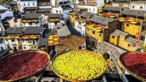 拜神戴叶吃西瓜,贴膘晒秋怕打雷--你不知道的立