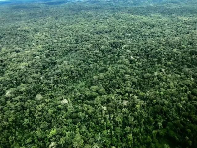 在亚马逊雨林，聆听地球呼吸的声音