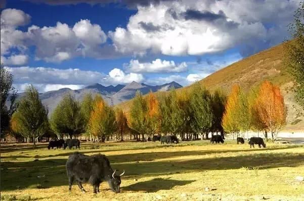 川藏线户外行攻略新都桥