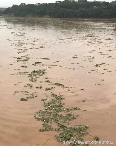 暴雨袭击！赣州多地遭遇洪水，上百人转移！市长紧急调度防汛工作