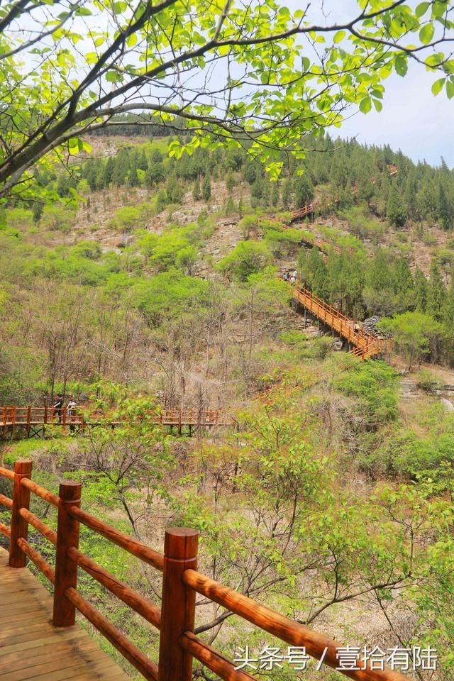 “既有黄花溪，何须去九寨” 这里负离子爆表 五一畅游寄情山水间