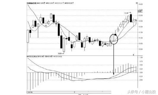 一位成功老股民赠言：学会5招，MACD+均线相结合就能闯荡股市！