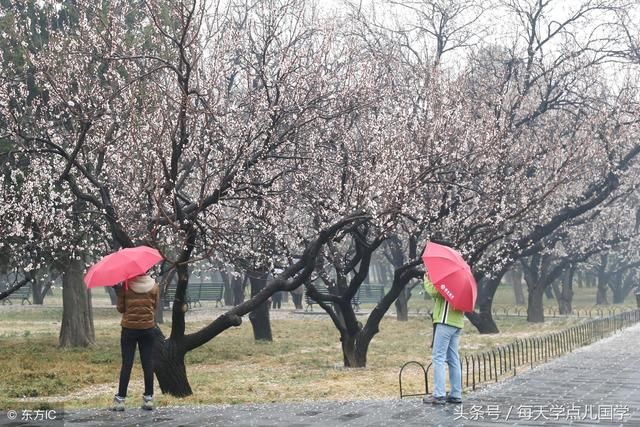 上联：春雨濛濛润桃李， 求下联