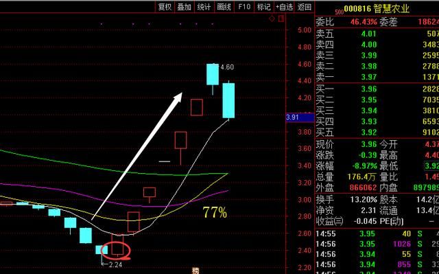 上海19岁股神曝：“七不买”100%盈利方法曝光，3分钟获29次掌声