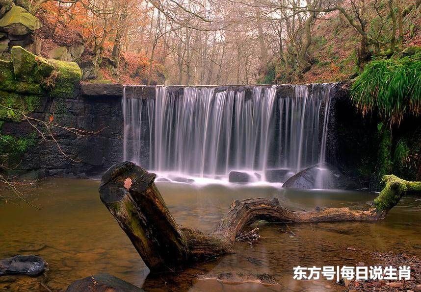 狗年财运旺,不缺钱!元宵后3大生肖转运,桃花喜事财源滚滚!