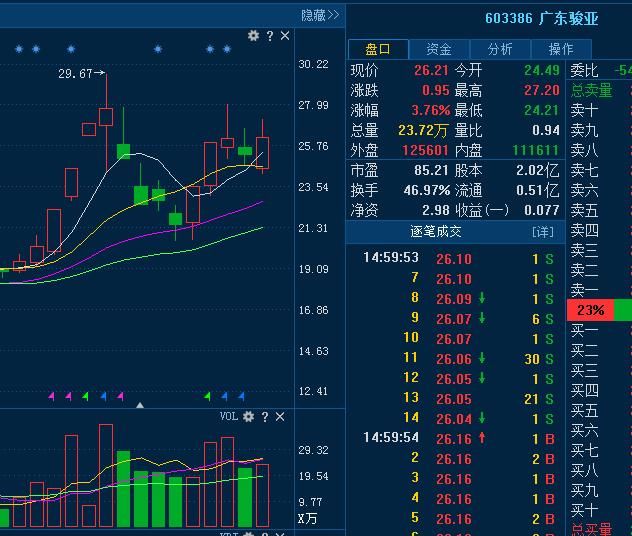 广东骏亚603386：大长腿翻红吧，给我飞！飞到天上去！