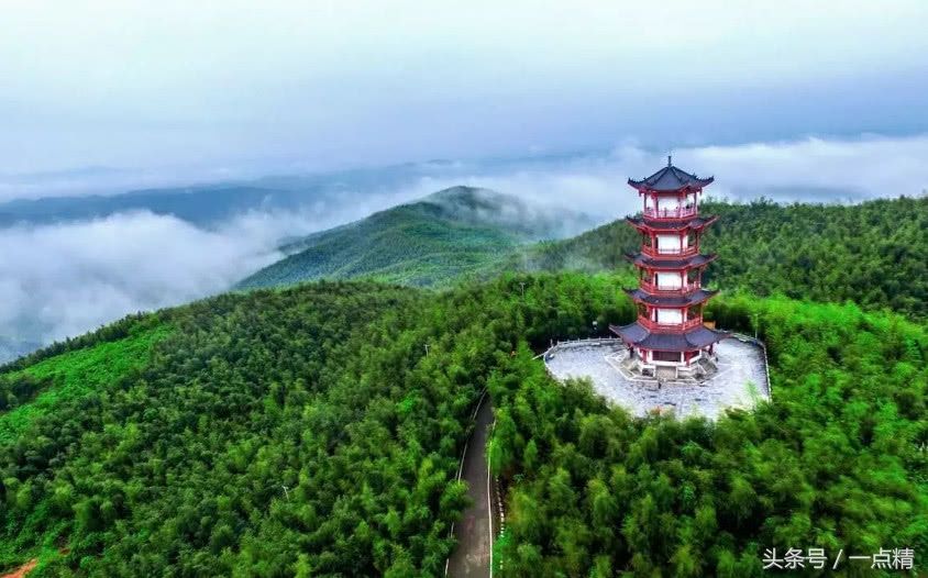 这个地方竹林面积达16万亩，魅力生态景点景区