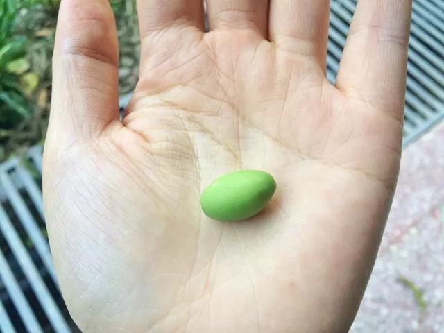 清明踏春冷门景点：看彩林、赏桂花，观峡谷，玩雪水，拒绝人挤人