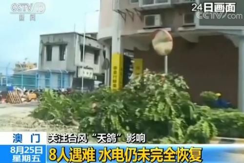 台风 天鸽 已造成17人遇难 目前广东中山港已全