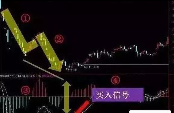 中国股市终于怂了！最大“谎言”终于被揭穿，散户相继排队退市！