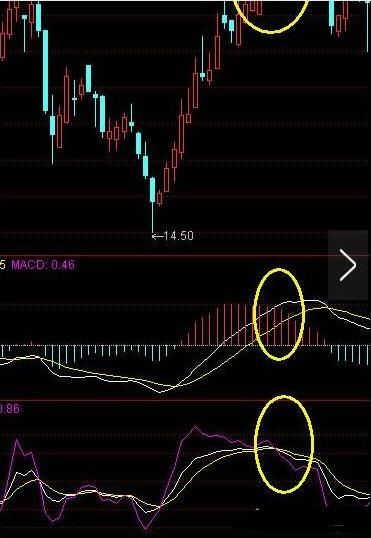 一位股市奇才的金玉良言：悟懂“MACD”战法，你将走上股市巅峰！