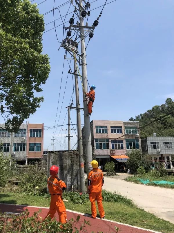 国网电力公司的领导