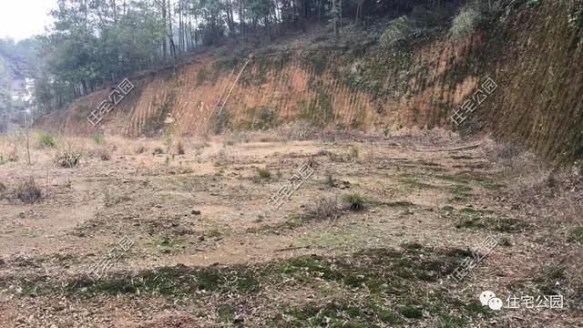 农村老哥晒美宅，200万建竹林、花园舒适庭院，更有百里荷花池