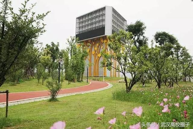 武汉30个春游免费景点大集合!踏青、骑行、拍照来这里就对了!