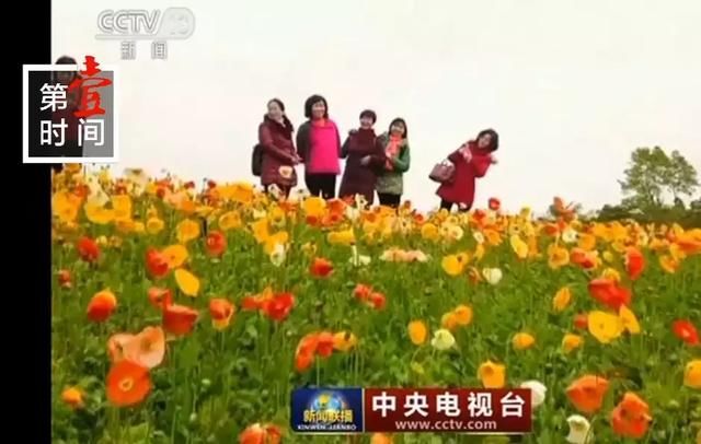 桂林春节又上央视了！这里美呆啦，你去了吗？