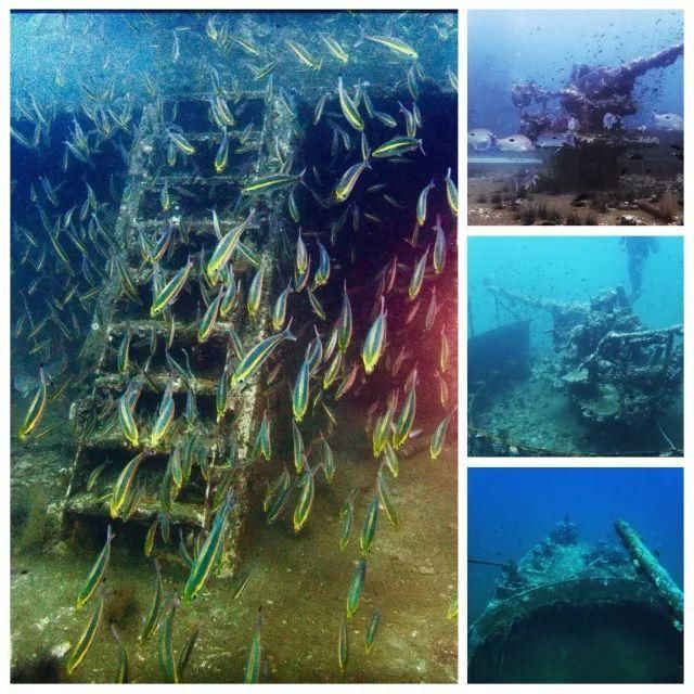 烟花三月下春蓬，泰国南部小城探秘