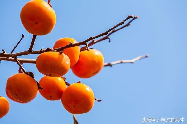 只有今生,没有来世,请好好珍惜这一世!