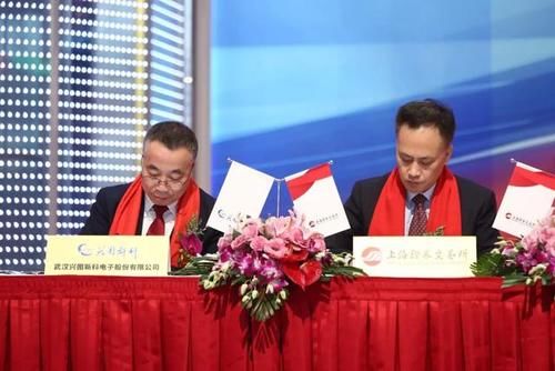 武汉科创板上市公司