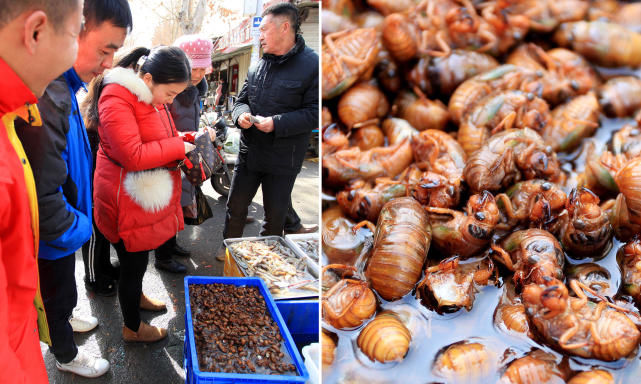 集市卖这虫子 价格远超海鲜生意火爆