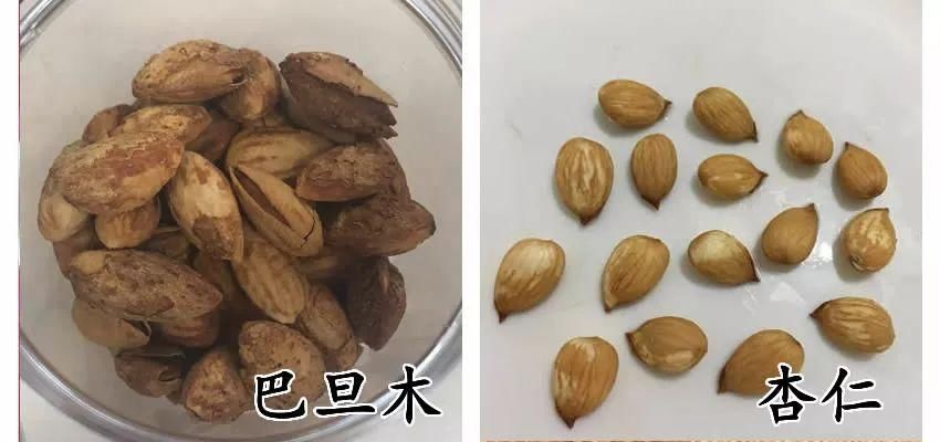 车厘子VS樱桃，奇异果 vs 猕猴桃，这些食物到底哪不同?