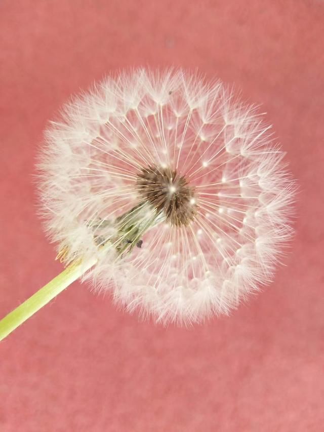 户口本身份证上年龄比现实年龄小怎么申请改过