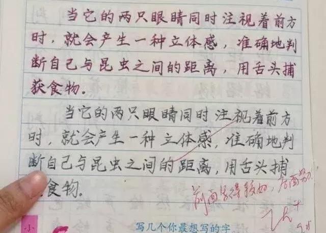 t01a0dac941d416605f.jpg