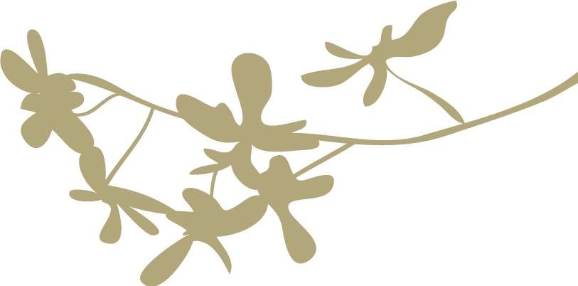 陕西省发布2018年高考守则 外语考试有变化_