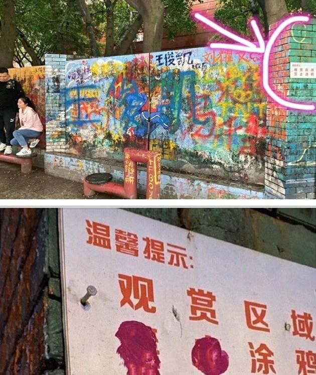 肖战刚复出粉丝又惹事儿？生日应援犹如丧尸围城，引学校反感