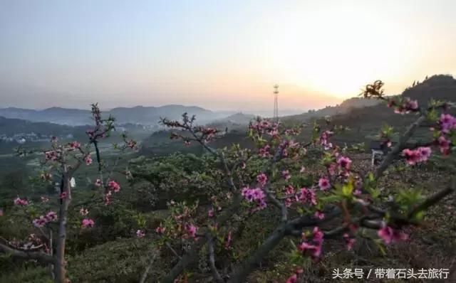 自驾｜四川第一人口大县！却私藏着成都南边最美的春天！