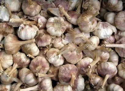 腌腊八蒜的做法什么时候腌